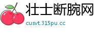 壮士断腕网